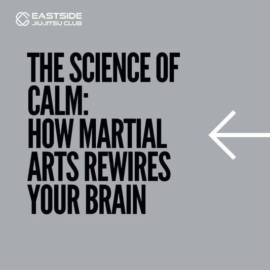 The Science of Calm: How Martial Arts Rewires Your Brain