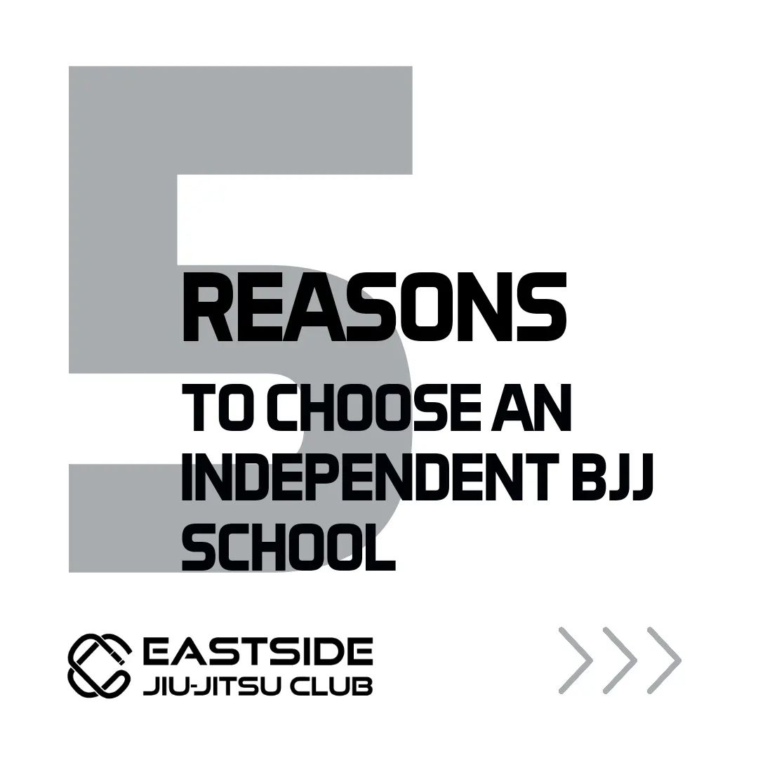 5 Reasons to Choose an Independent BJJ School
