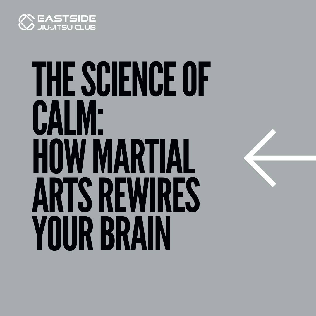 The Science of Calm: How Martial Arts Rewires Your Brain