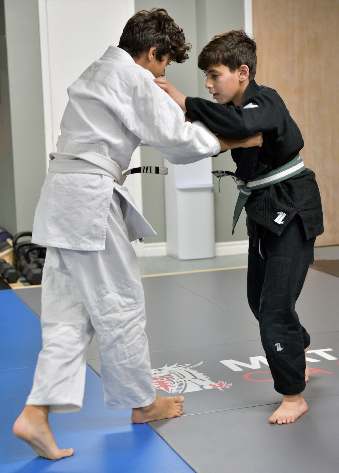 Why Brazilian Jiu-Jitsu is the Best Martial Art for Kids
