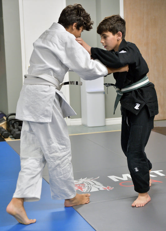Why Brazilian Jiu-Jitsu is the Best Martial Art for Kids